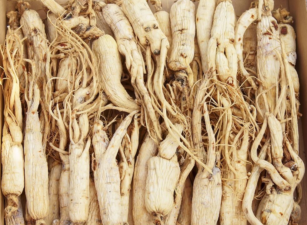 Con base na raíz de ginseng, podes preparar unha decocção para mellorar a potencia